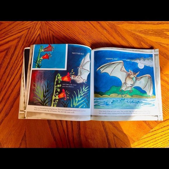 Bats 🦇 By Gail Gibbons - Picture 9 of 13